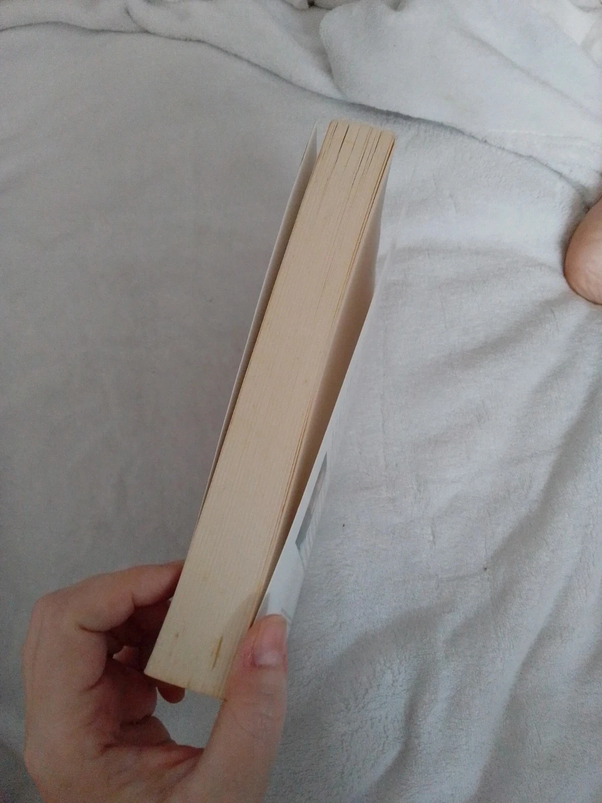 Sarah la bible au féminin – photo 3